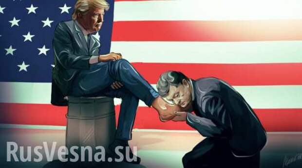 Не были на Майдане и всегда любили Трампа: как украинские политики меняют своё прошлое | Русская весна