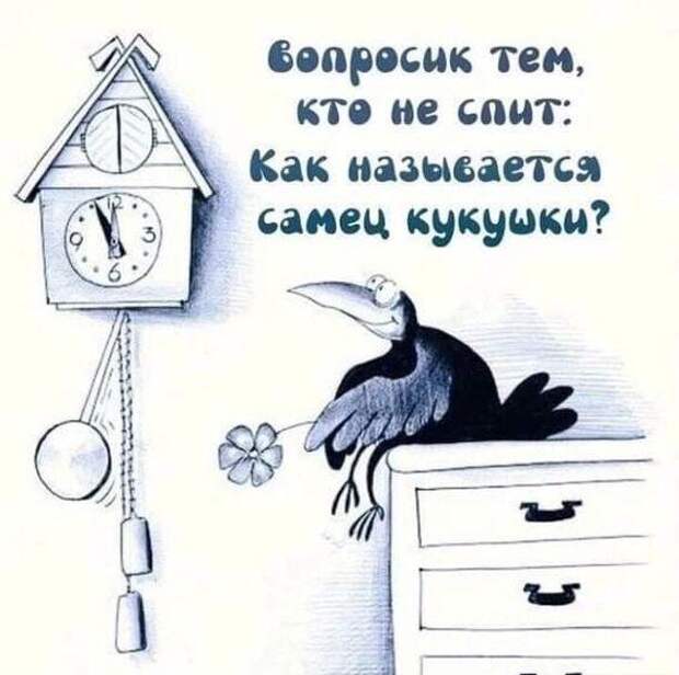 Свежие картинки с надписями