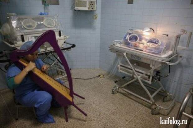 Приколы (55 фото)