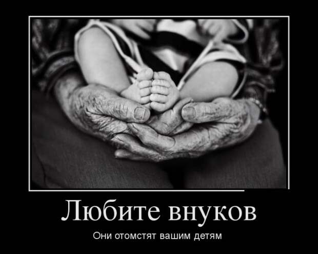 Демотиваторы (30 фото)