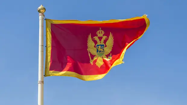 Россия запретила въезд госсекретарю МВД Черногории из-за ситуации с Тельманом Исмаиловым