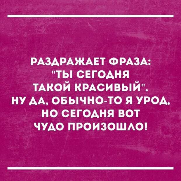 Смешные картинки с надписями Смешные картинки с надписями прикол, юмор