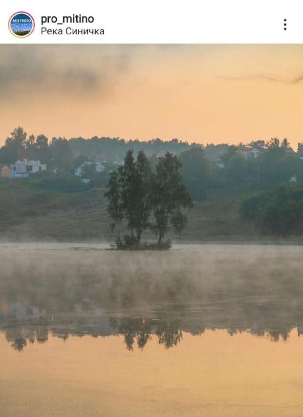 Фото дня: прекрасное туманное утро