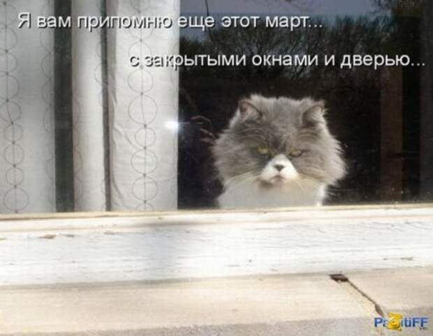 Котоматрицы....самые прикольные