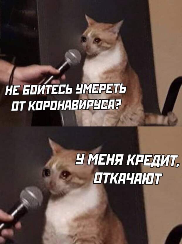 Смешные фото вечер 17 декабря 2020