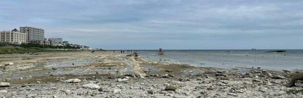 На сохранение Каспия выделили более 1 млрд тенге в Казахстане