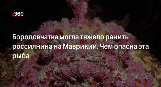 Ихтиолог Кузищин объяснил опасность столкновения с рыбой бородавчаткой