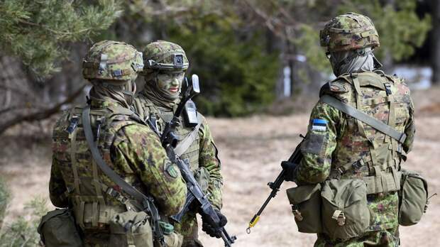 Die Welt рассказал, почему Эстония должна бояться Путина сильнее остальных