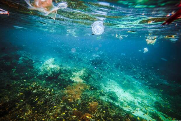 Острая экологическая проблема океана