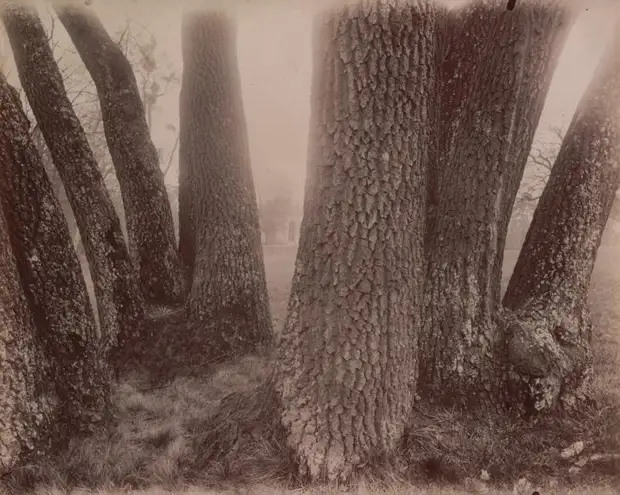 Старый Париж в фотографиях Эжена Атже 12