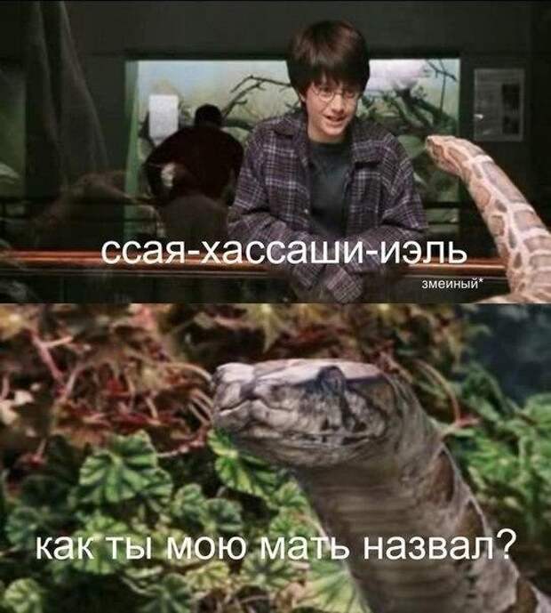 Смешные картинки с надписями прикол, юмор