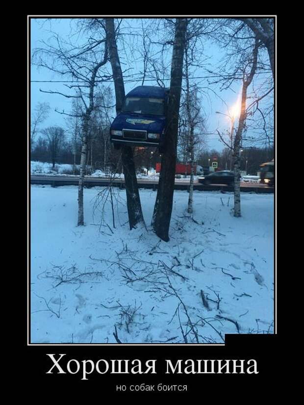 Демотиваторы (20 фото)