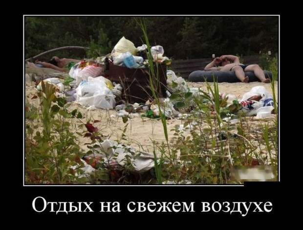 Демотиваторы