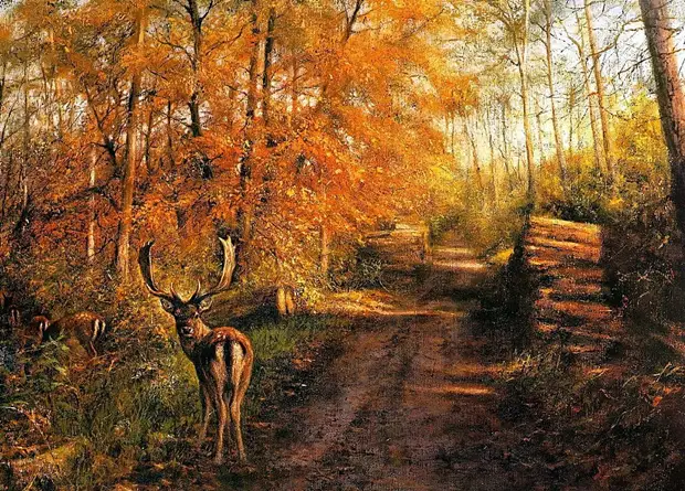 �������� ��� ���������.