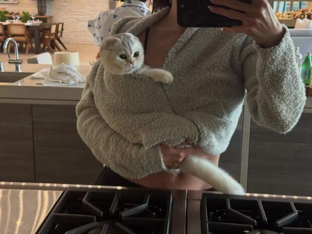 Кайли Дженнер столкнулась с хейтом в соцсетях из-за фото с кошкой на бриллиантовом поводке