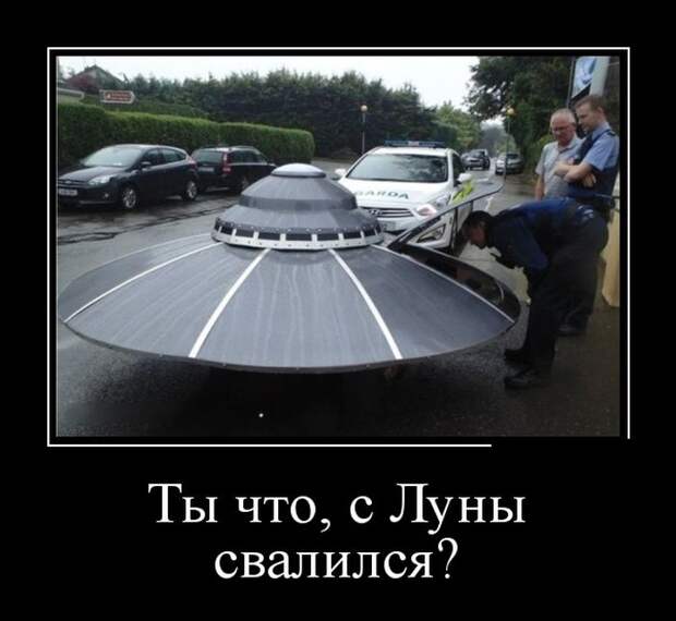 Демотиваторы (30 фото)