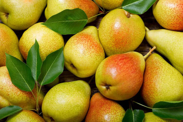 Гликемический индекс — груша