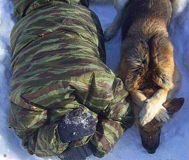 Не грустные картинки веселые картинки, фотографии, юмор