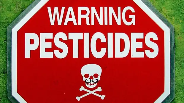 Нидерланды решили исследовать связь между пестицидами и сердечной аритмией