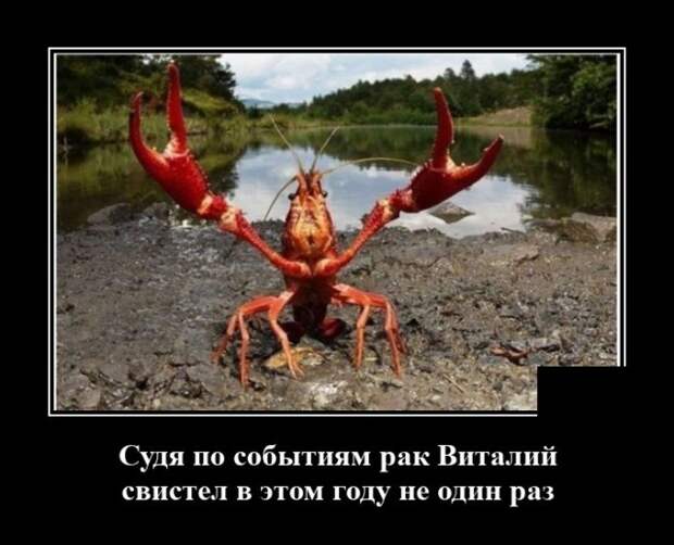 Демотиваторы 13 августа 2020
