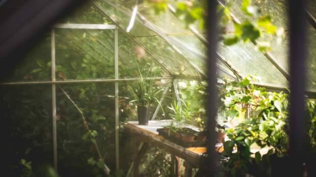 Обман при выборе теплицы: как маркетинг скрывает тонкий металл и слабый поликарбонат