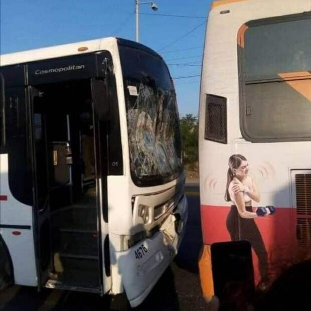 Неожиданные сходства и случайные совпадения на снимках