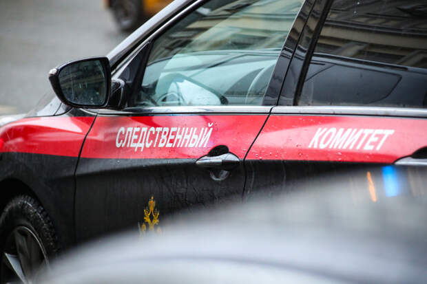 Появились подробности о подмосковном расчленителе