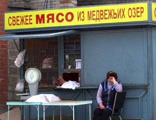 Смешные объявления, вывески и реклама (20 фото)