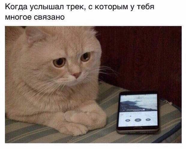 ktx5IYY7I0s