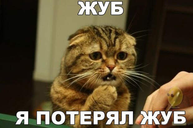Сумасшедшие фотоиллюзии, или как быстро оказаться в дурдоме показалось, прикол, юмор