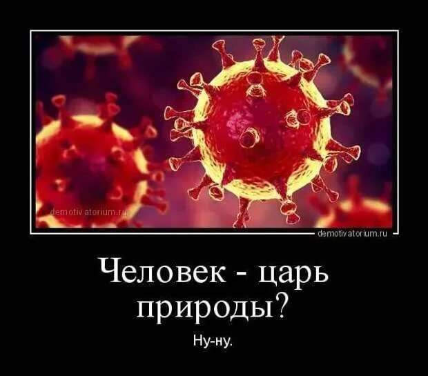 Демотиваторы про коронавирус с надписями. Подборка chert-poberi-dem-koronavirus-chert-poberi-dem-koronavirus-27230329102020-12 картинка chert-poberi-dem-koronavirus-27230329102020-12