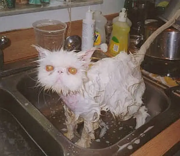 Юмор из интернета 711