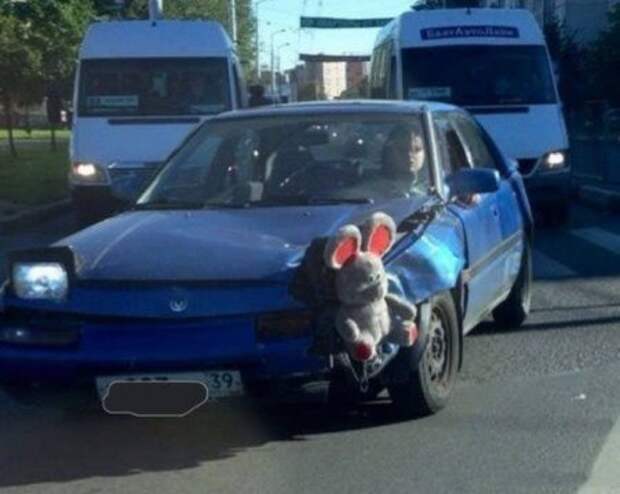 Автоледи за рулем Автоледи за рулем