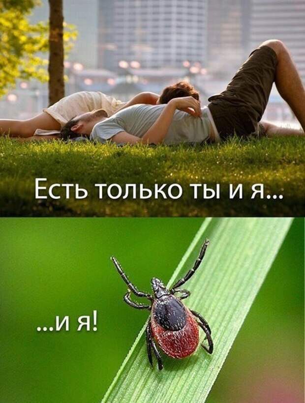 Порция настроения добрый день, картинки, мемы, смех, смешные