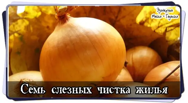 СЕМЬ СЛЕЗНЫХ- ЧИСТКА ЖИЛЬЯ ЛУКОМ (МАНСУР)