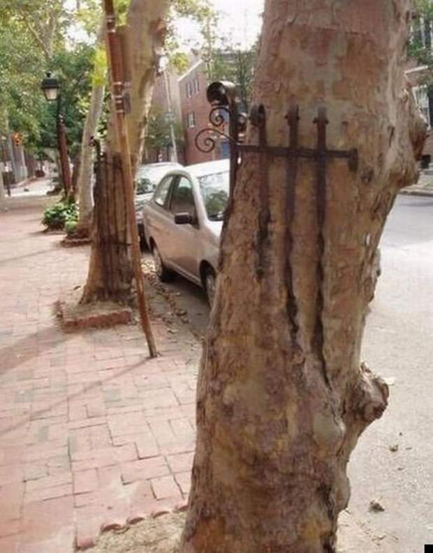 Сила природы (25 фото)