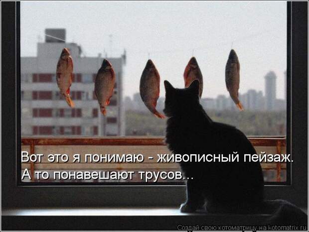 Котоматрица: Вот это я понимаю - живописный пейзаж. А то понавешают трусов...