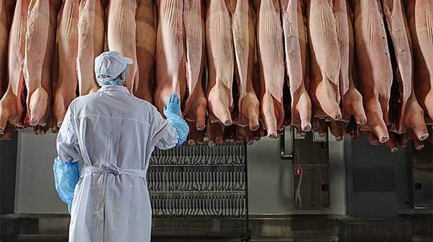 Накормить солдат мясом