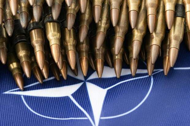 Президент Финляндии Стубб: НАТО стоит быть готовой к конфликту из-за РФ