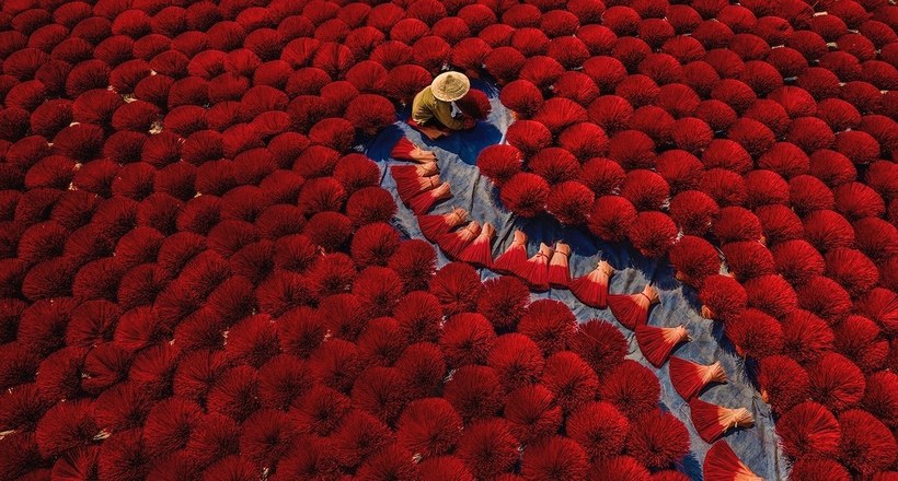 Первые впечатляющие работы с конкурса Sony World Photography Awards 2020