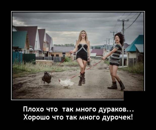 Демотиватор про деревню