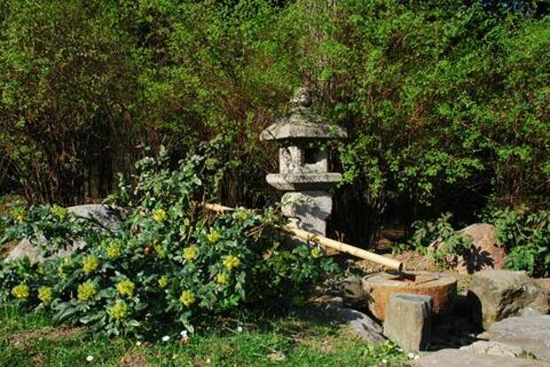 В Сочи в Сириусе строят уникальный ботанический сад площадью 30 га