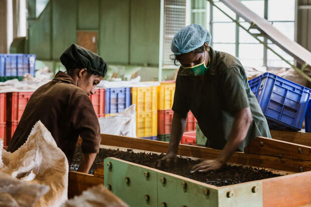 В Шри-Ланке ввели выходной по средам ради экономии топлива