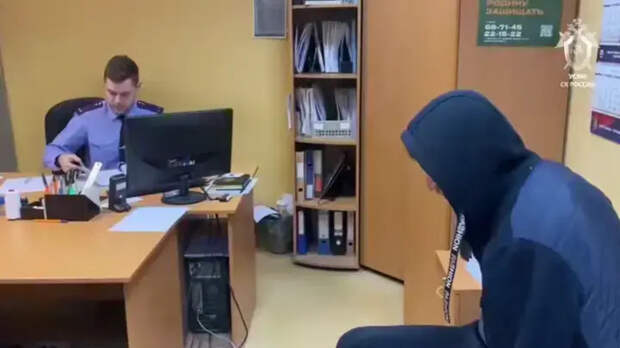 Он в ступоре, она "включила дурочку": поведение обвиняемых в похищении девочки в Смоленске оценили эксперты