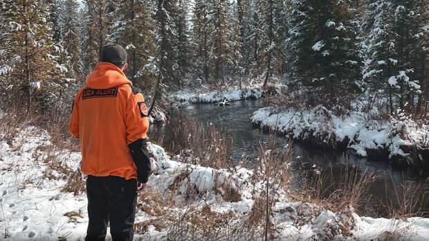 Волонтер рассказала о возобновлении поисков семьи Усольцевых