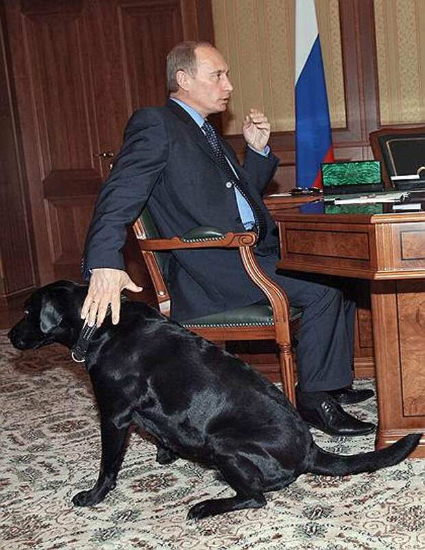 В 2000 году Сергей Шойгу передал в подарок Владимиру Путину щенка лабрадора по кличке Кони