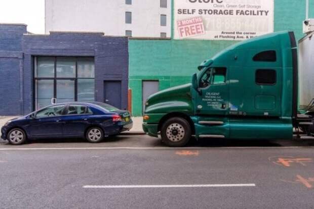 Неожиданные сходства и случайные совпадения на снимках