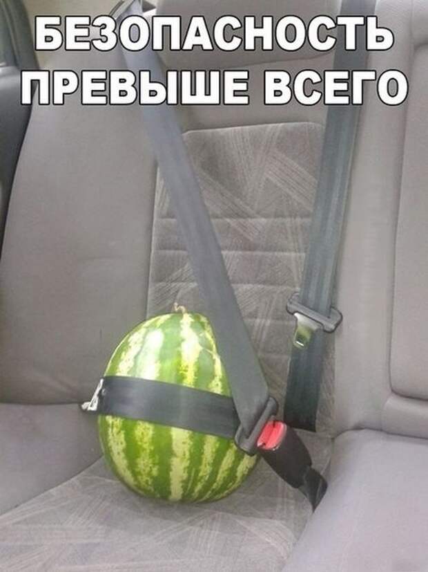 Свежие автоприколы