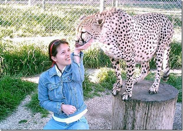 extreme-zoo_36_(funnypagenet.com)
