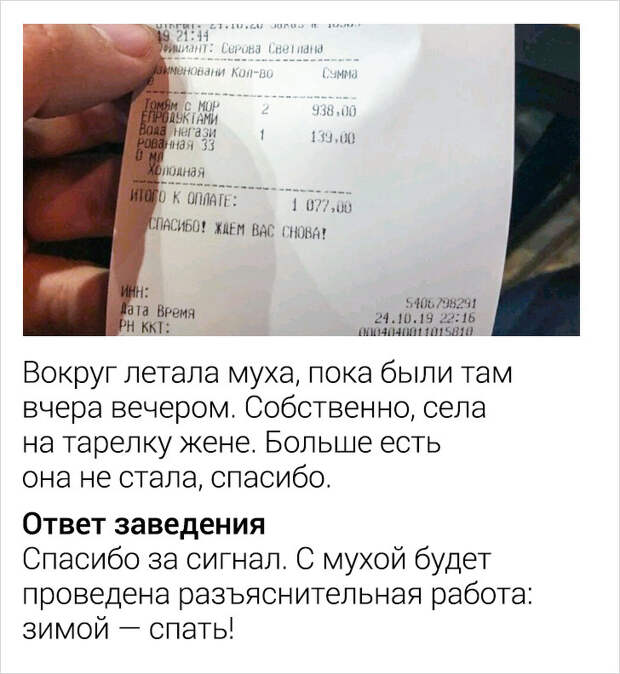 17 покупателей, которые просто хотели написать отзыв, а в итоге вызвали приступ смеха у всего интернета